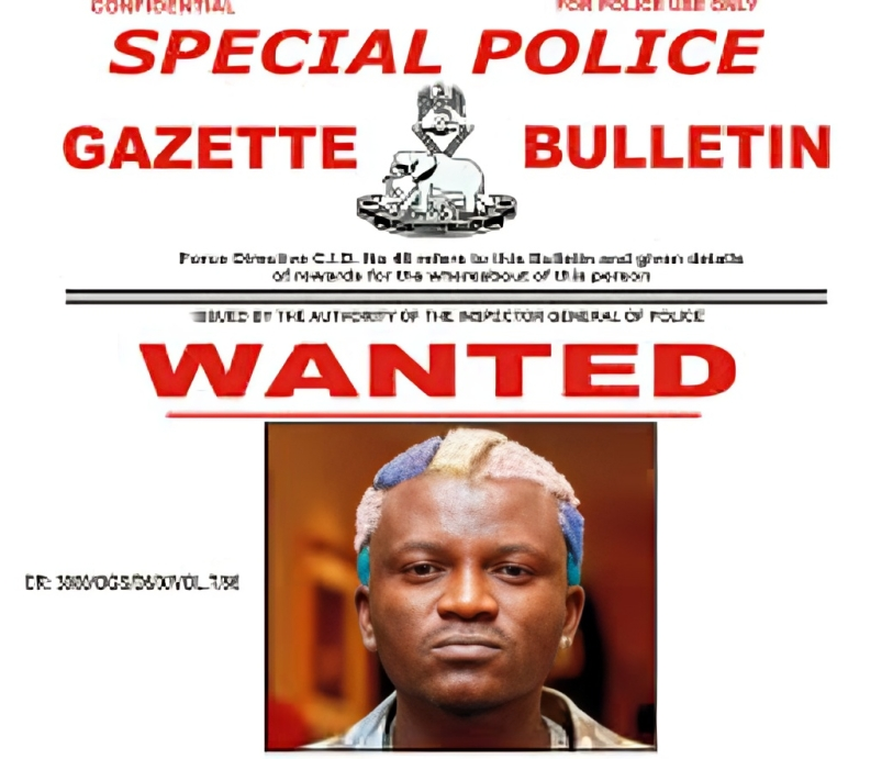 10 Nigerian celebrities who stirred major controversies in the first half (H1) of 2025