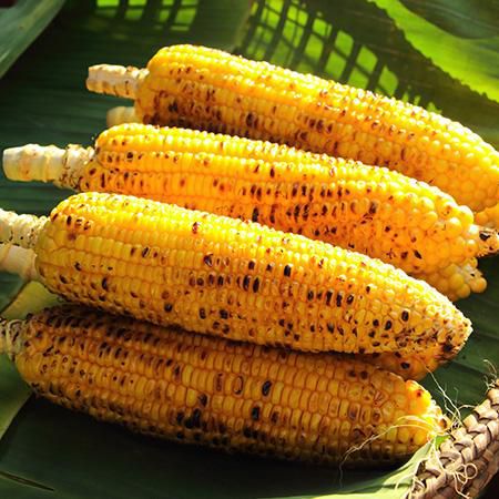 Roasted corn