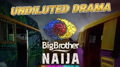 Big Brother Naija season 6 [Instagram]