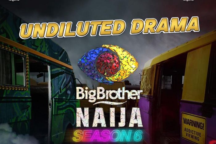 Big Brother Naija season 6 [Instagram]