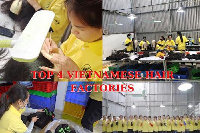 List of top 4 best reliable Vietnamese hair factory vendors