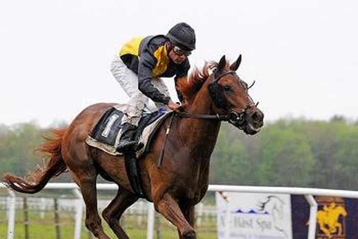 Top 4 sports for South African bettors