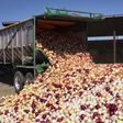 An onion laden truck in Nigeria's northern region (Guardian)