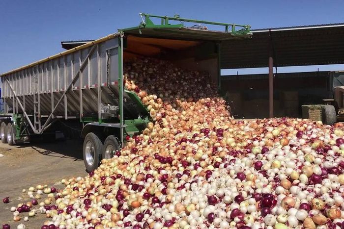 An onion laden truck in Nigeria's northern region (Guardian)
