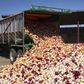 An onion laden truck in Nigeria's northern region (Guardian)