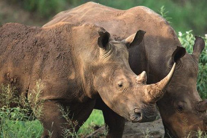 Embassy of the United Republic of Tanzania Tel Aviv, Israel