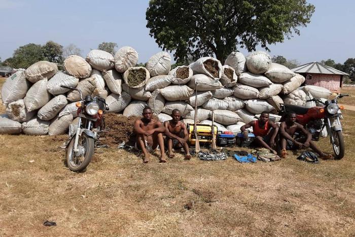Troops apprehend 12 bandits, collaborators in Zamfara/Illustration. [Twitter/@DefenceInfoNG]
