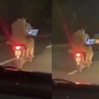 Thieves can go to hell - Laptop-holding passenger browses while on Okada (video)