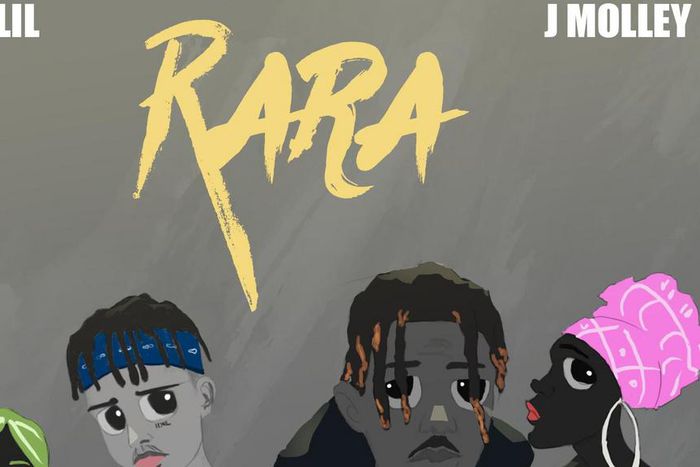 Danlil drops ‘Rara’, a magnificent lovely song