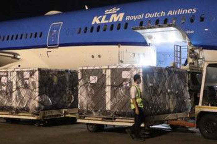 World Health Organization (WHO)