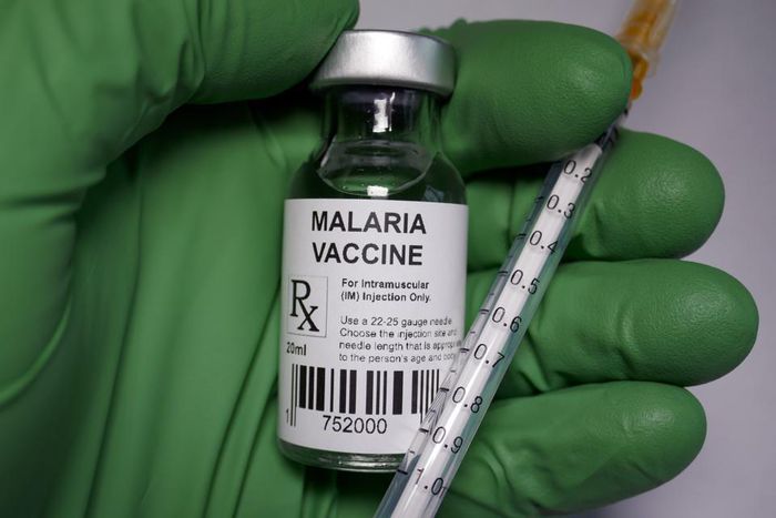A vial of the malaria vaccine