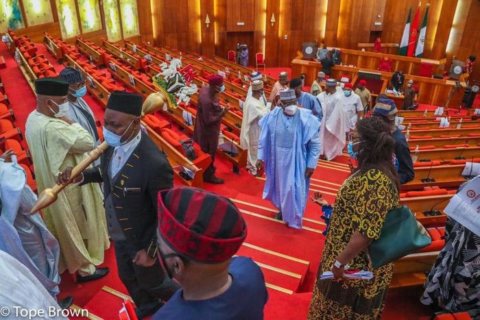 Nigerian senators [Tope Brown]