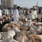 Sudanese Muslims buy livestock at a market in Sudan's capital Khartoum on August 11, 2019, as they mark their first Eid Al-Adha feast without Omar al-Bashir as a ruler