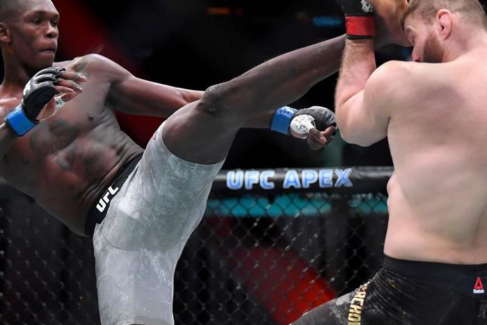 Jan Blachowicz (Instagram/UFC)