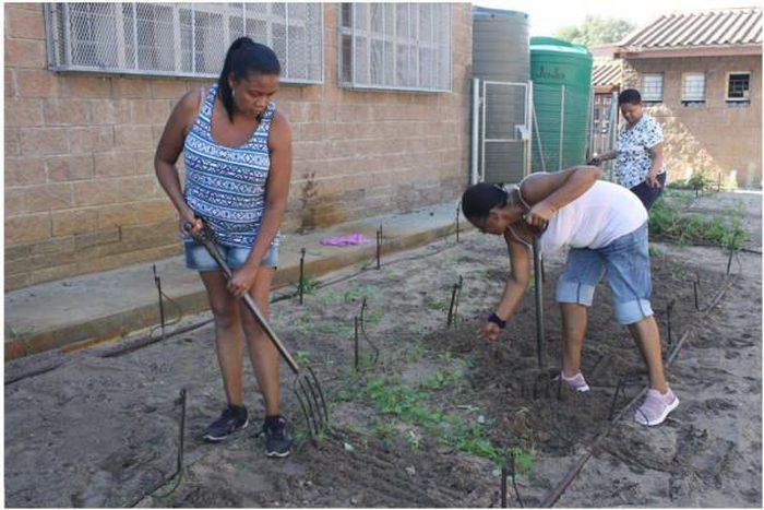 African Development Bank Group (AfDB)