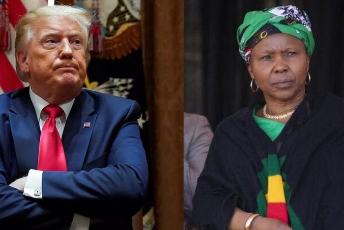 Zimbabwe’s Defence minister battles covid-19 after saying it was God’s wrath on Trump and the West