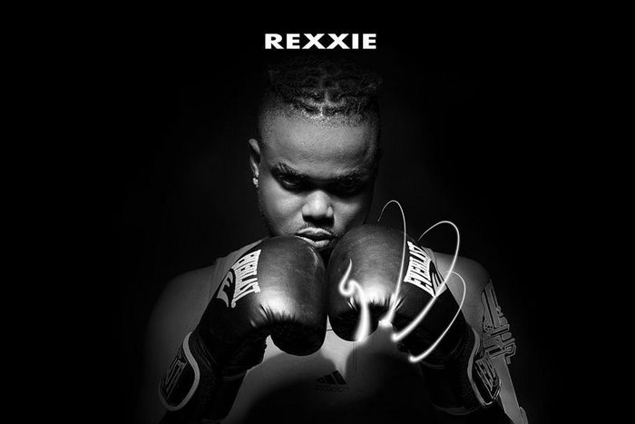 Davido, Naira Marley, Zlatan, Oxlade, Buju, Bella Shmurda and more feature on Rexxie's star-studded debut album, 'A True Champion.' (Africori)