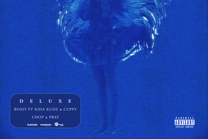 Wurld features Kida Kudz and Cuppy on 'Afro Soul [Deluxe].' [Platoon]