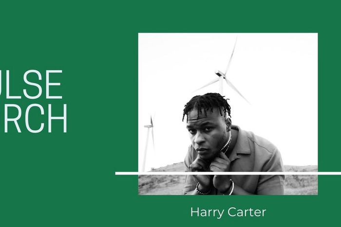 Pulse Torch: Harry Carter. (Pulse Nigeria)