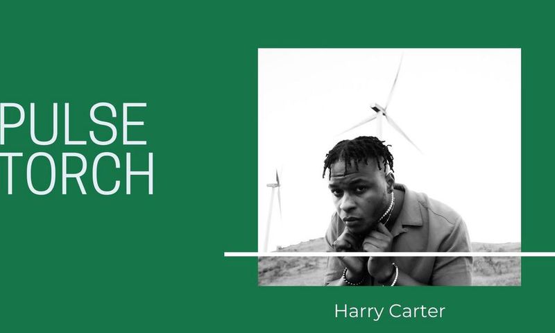 Pulse Torch: Harry Carter. (Pulse Nigeria)