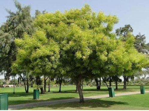 Serene and beautiful