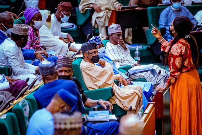 Lawmakers in the House of Representatives [NASS]