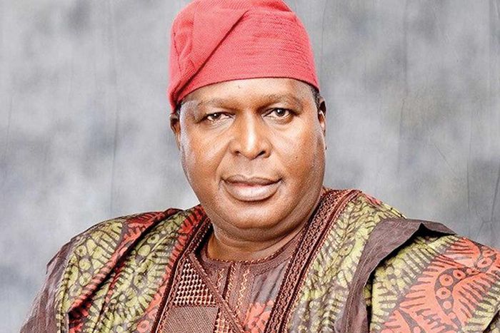 Otunba Segun Runsewe, Director-General, National Council for Arts and Culture (NCAC), (Guardian)