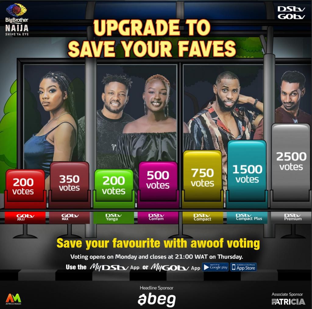 BBNaija Awoof Voting