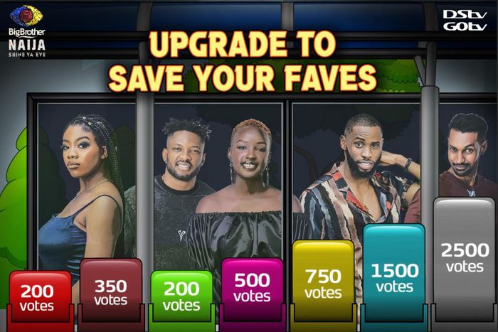 BBNaija Awoof Voting