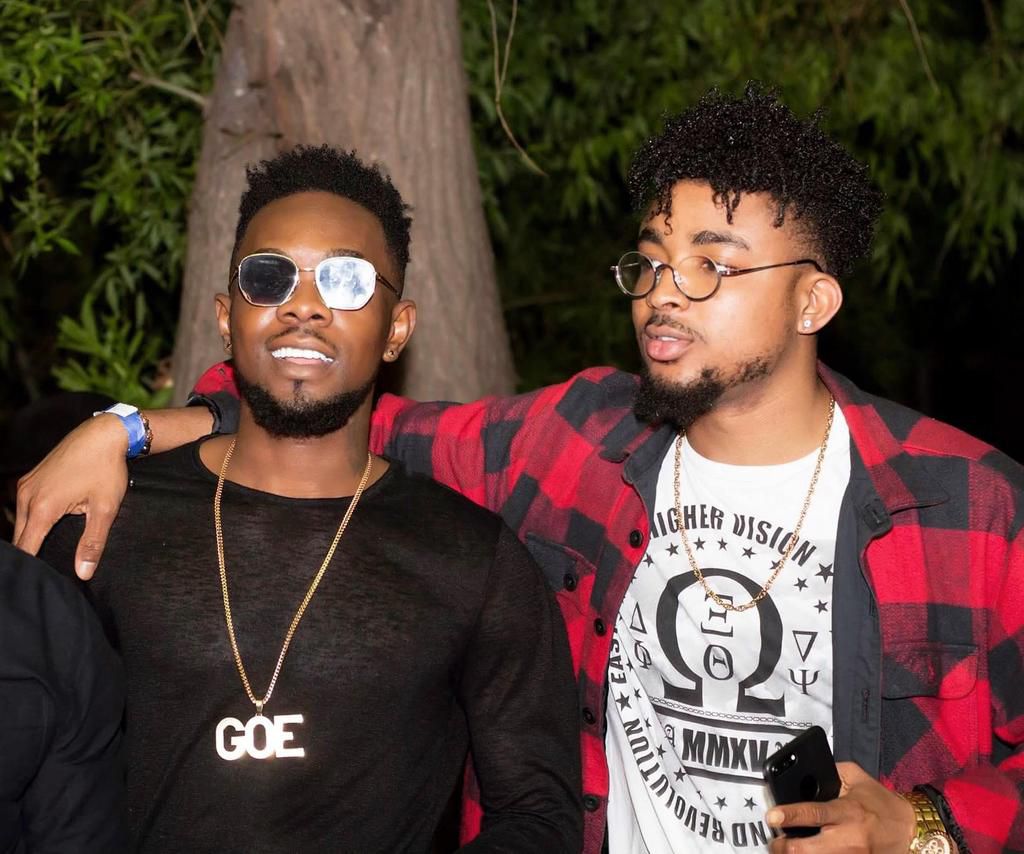 The sedulous life of Danaustino