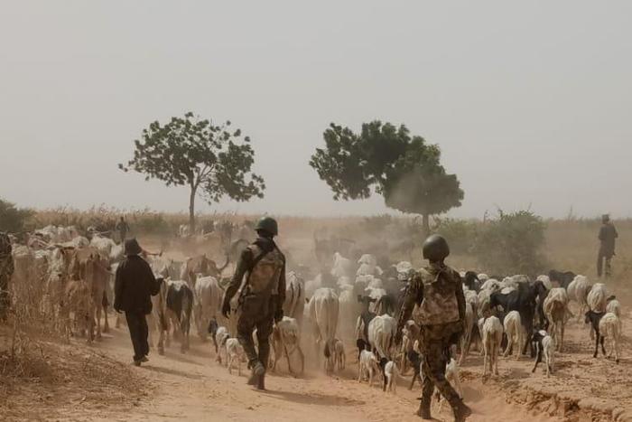 Troops arrest 10 bandits, kill 2, recover 88 rustled livestock. [Twitter/@DefenceInfoNG]