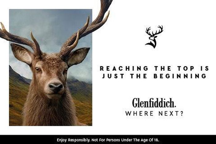 Reaching the top is just the beginning