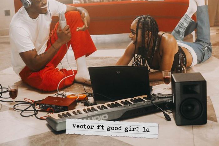 Vector features Goodgirl LA on new record, 'Early Momo.' (GRAP Musik)