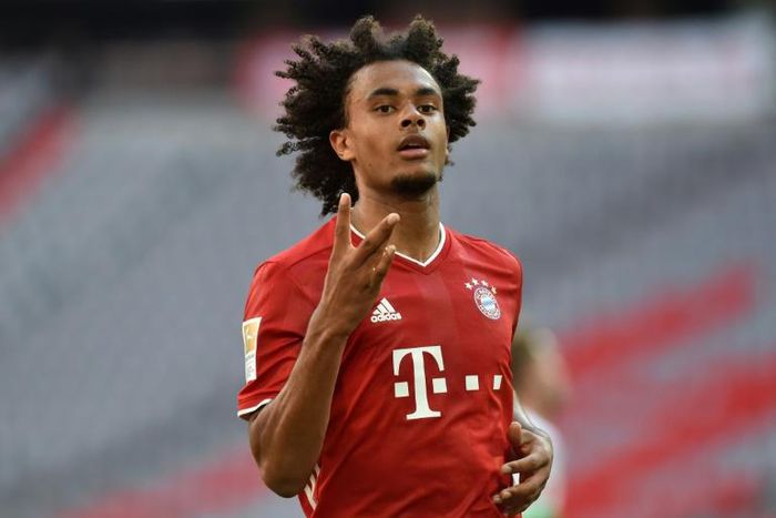 Zirkzee has scored four Bundesliga goals for Bayern