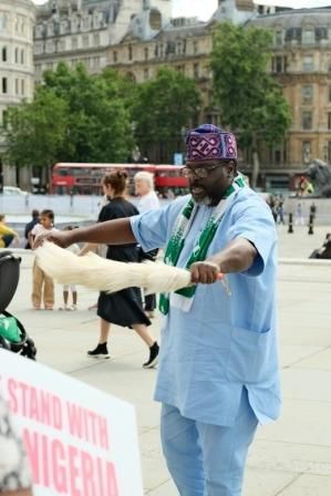 Nigerians in Diaspora rally support for Buhari, commend Military