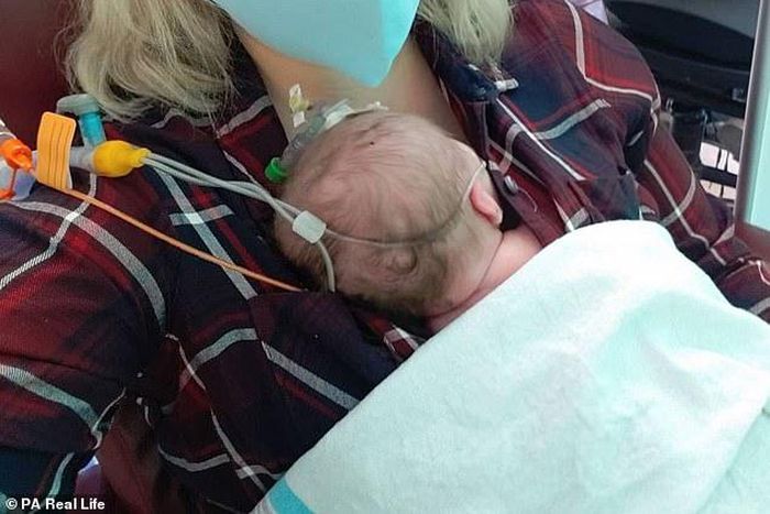 36-year-old Courtney Rogers gives birth to 11 children within 10 years