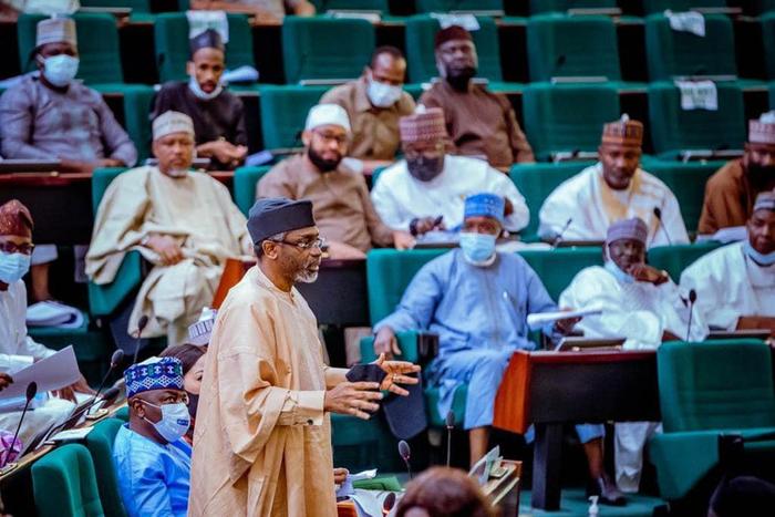 Lawmakers in the House of Representatives [NASS]