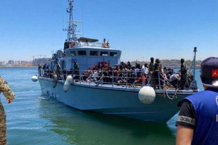 International Organization for Migration (IOM)