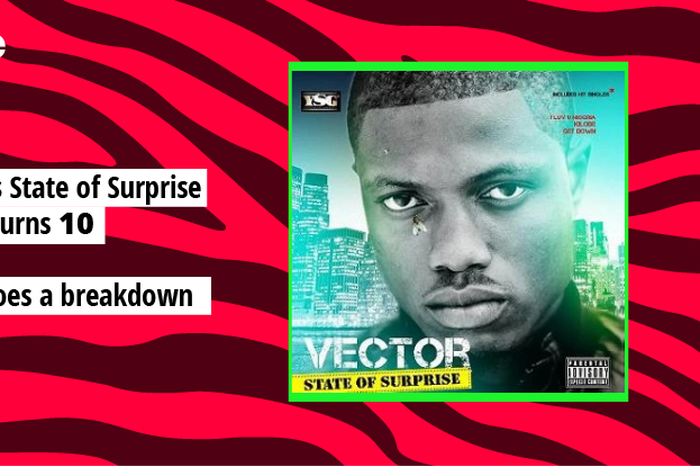 Vector - State of Surprise. [YSG/Pulse Nigeria]