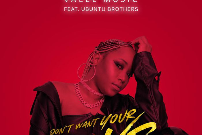 Valee Music releases soulful Amapiano record, 'Don't Want Your Love.' (TBD)