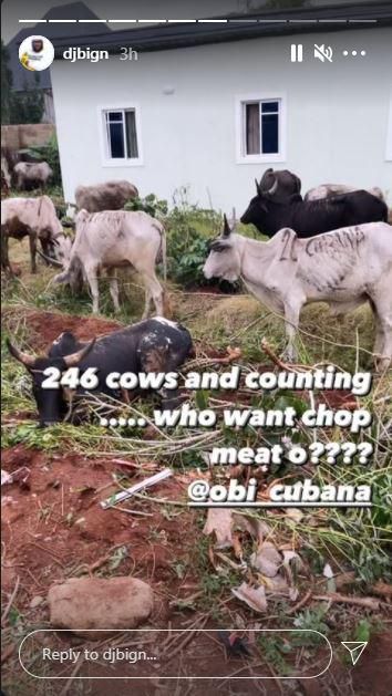 DJ BigN says Obi Cubana has received 246 cows so far for his mother's burial [Instagram.DJBigN]