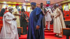 Nigerian senators [Nigerian Senate]