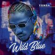 ‘Wild Blue’ is a commendable debut by Yonda. (DMW)