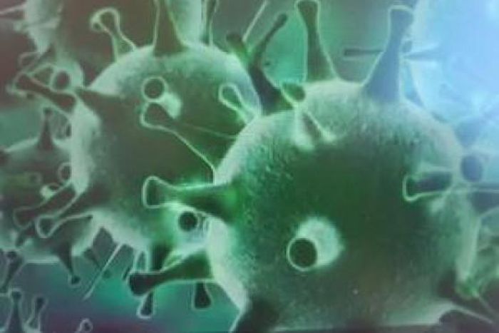 WHO Regional Office for Africa