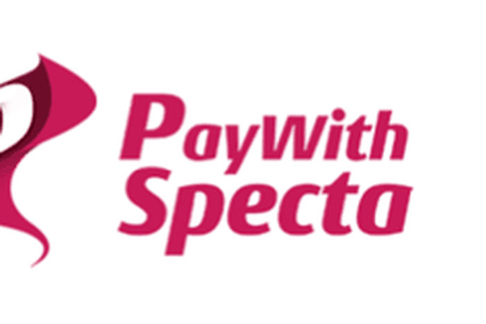 All expenses are important, but without a proper plan or support system, you can feel financially stretched. (Paywithspecta)