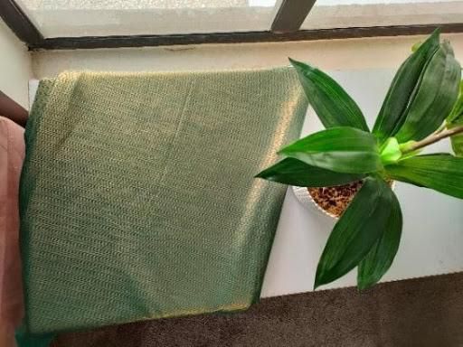 Pictures taken with the rear camera ( Al scene enhancement on)