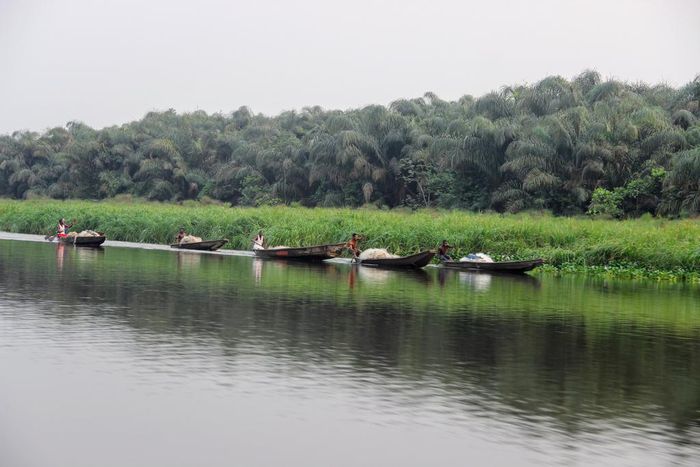 Fishing trail Bolaji Alonge 2018