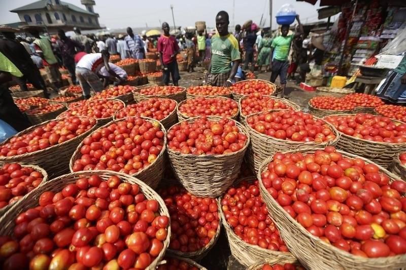 Tomatoes are displayed in baskets for sale at a local food market in Lagos December 16, 2013. REUTERS/Akintunde Akinleye