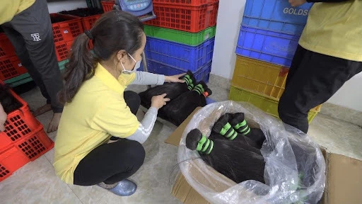 Workers At 5S Hair Vietnamese Factory.