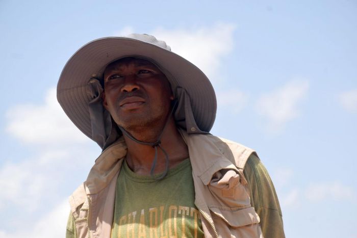 Prof Akinwumi Ogundiran rasises alarm over destruction of the burial site of Alaafins (Premium Times)